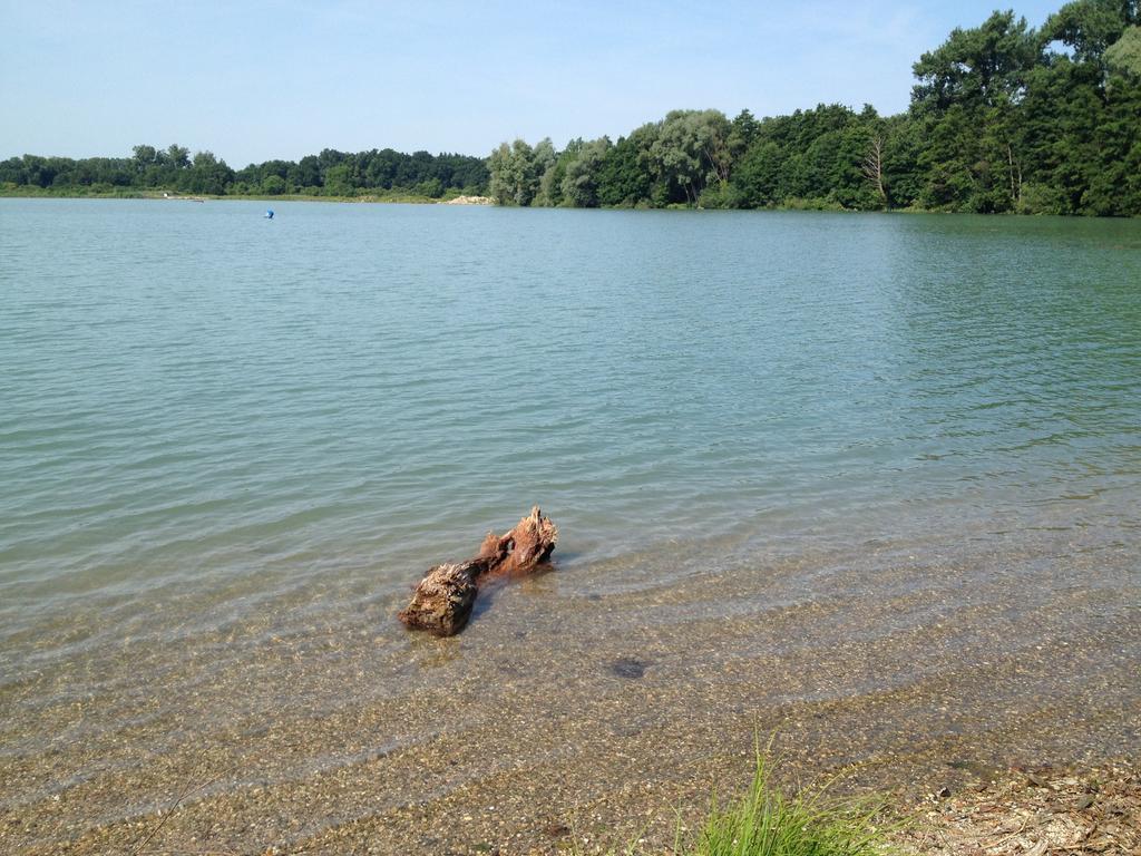Neuburg am Rhein Landgasthof Zur Sonne I Hotel & Restaurant מראה חיצוני תמונה