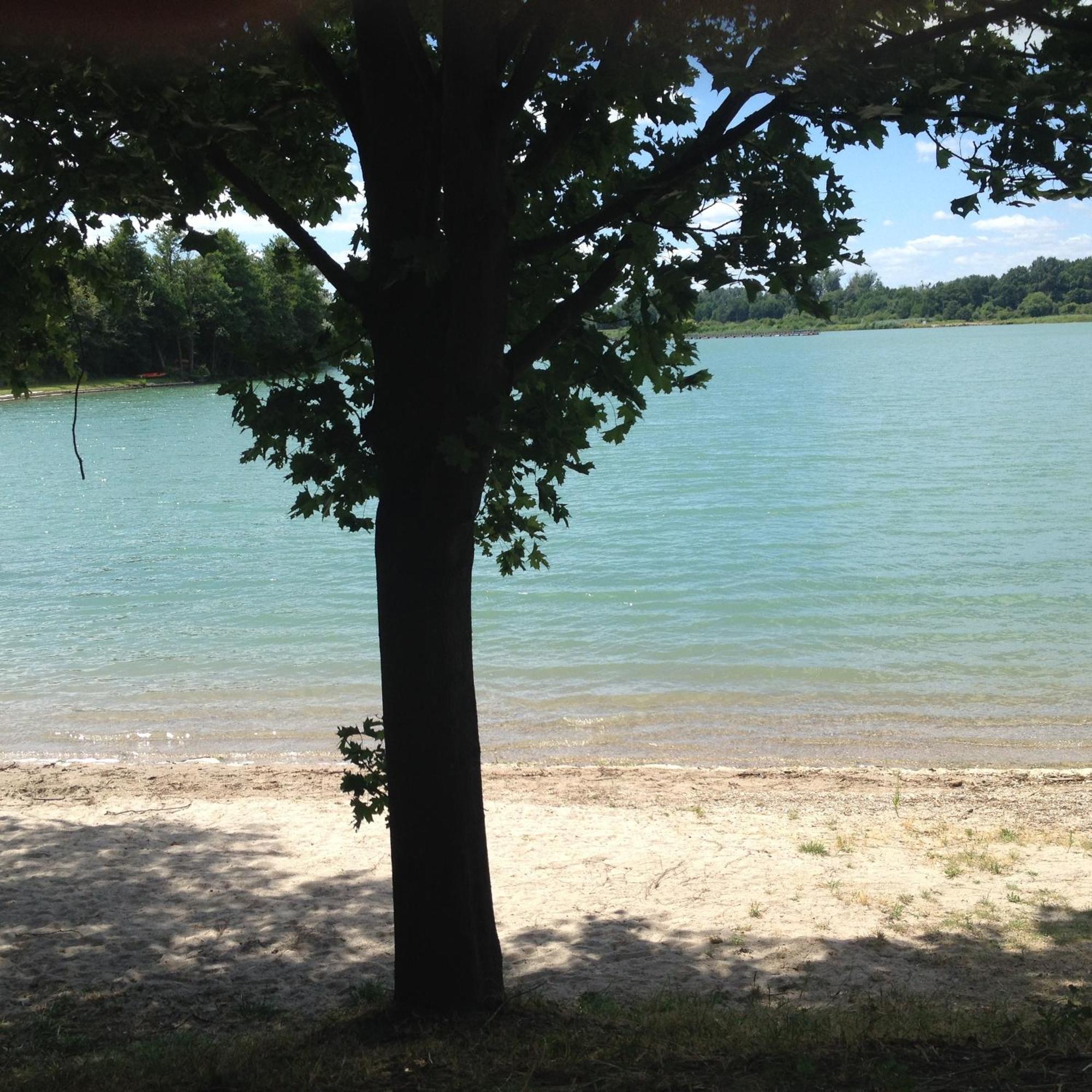 Neuburg am Rhein Landgasthof Zur Sonne I Hotel & Restaurant מראה חיצוני תמונה